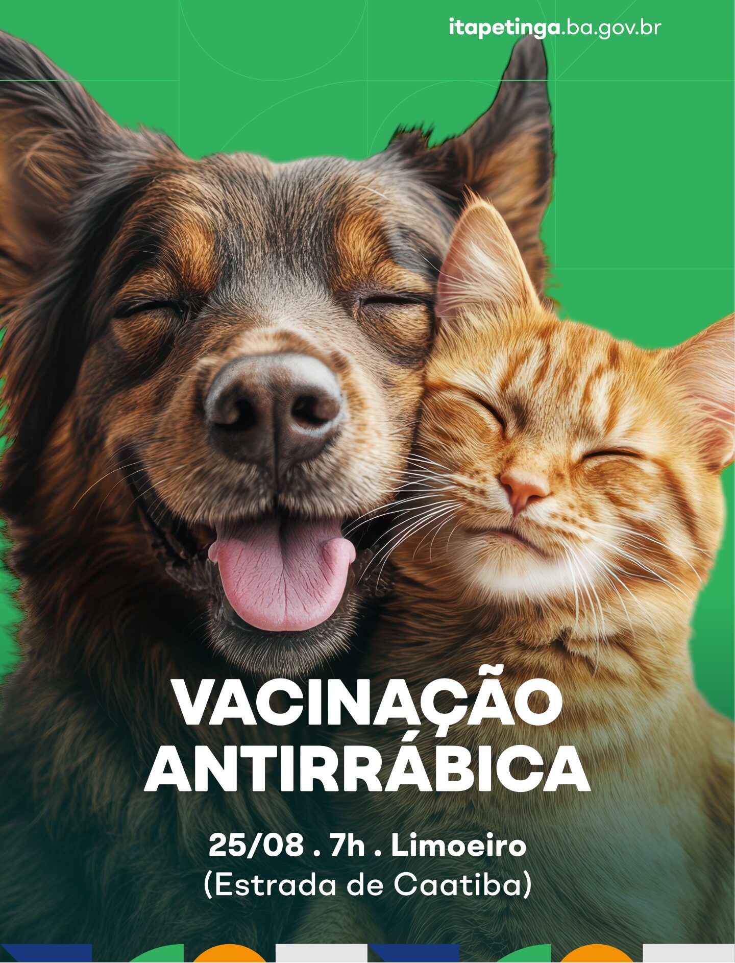 Prefeitura de Itapetinga iniciará campanha de vacinação antirrábica