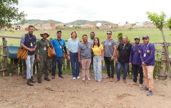 WhatsApp Image 2025-11-10 at 16.11.58