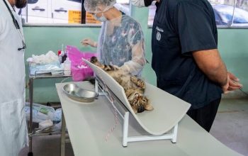 WhatsApp Image 2025-12-01 at 14.38.24