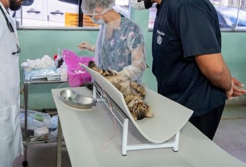 WhatsApp Image 2025-12-01 at 14.38.24