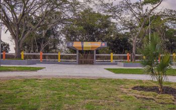 WhatsApp Image 2025-12-05 at 14.45.08