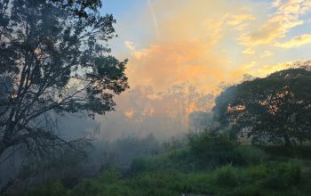 WhatsApp Image 2025-12-19 at 11.36.59 (1)