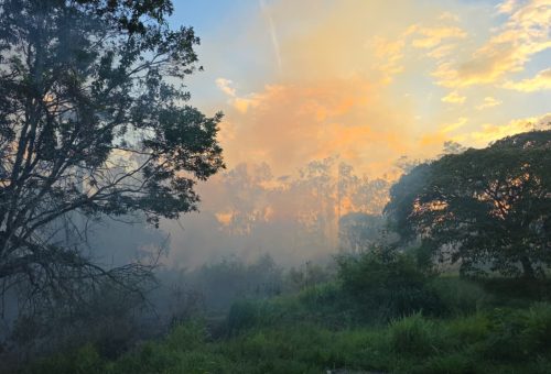 WhatsApp Image 2025-12-19 at 11.36.59 (1)